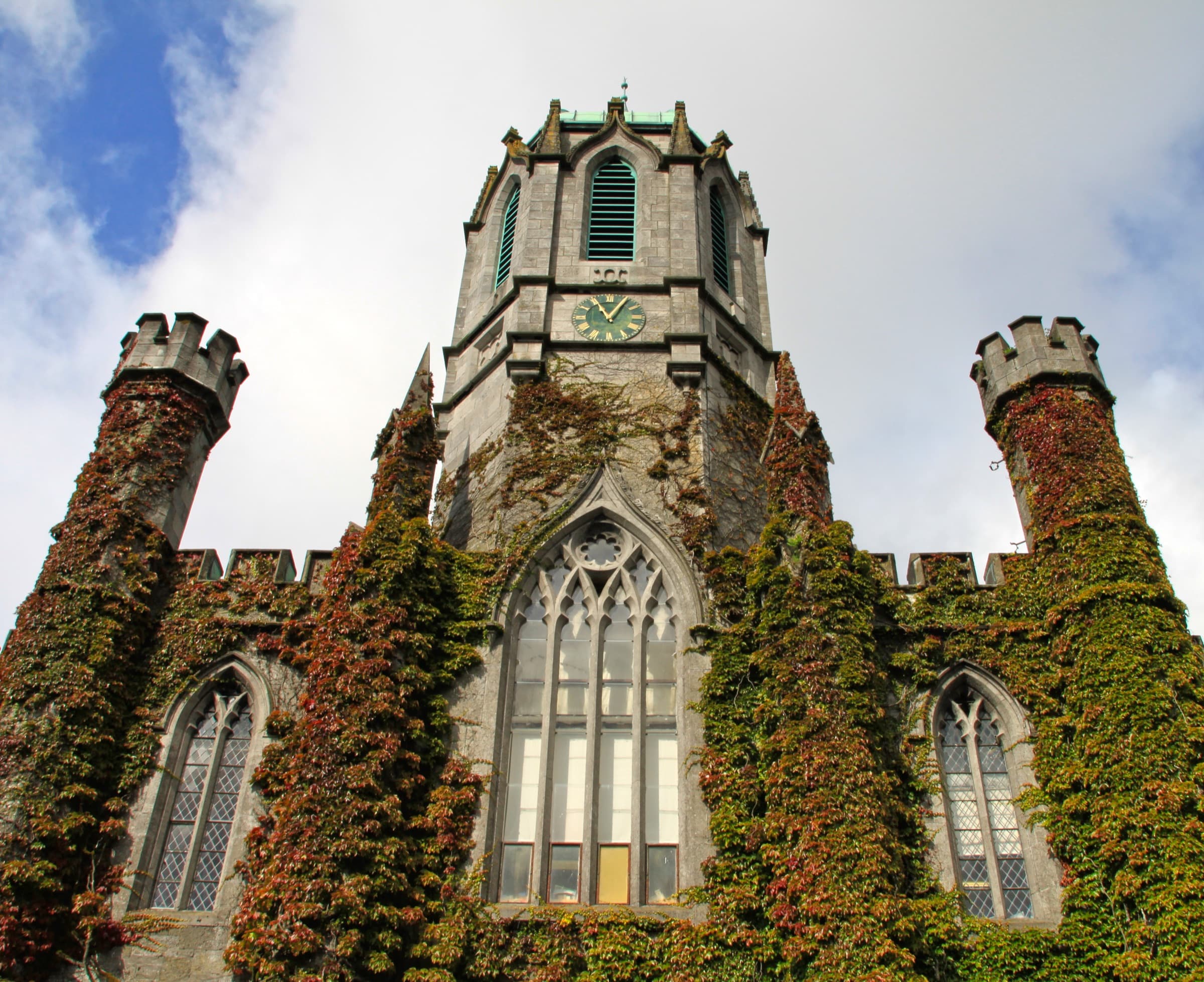 Shannon College of Hotel Management campus
