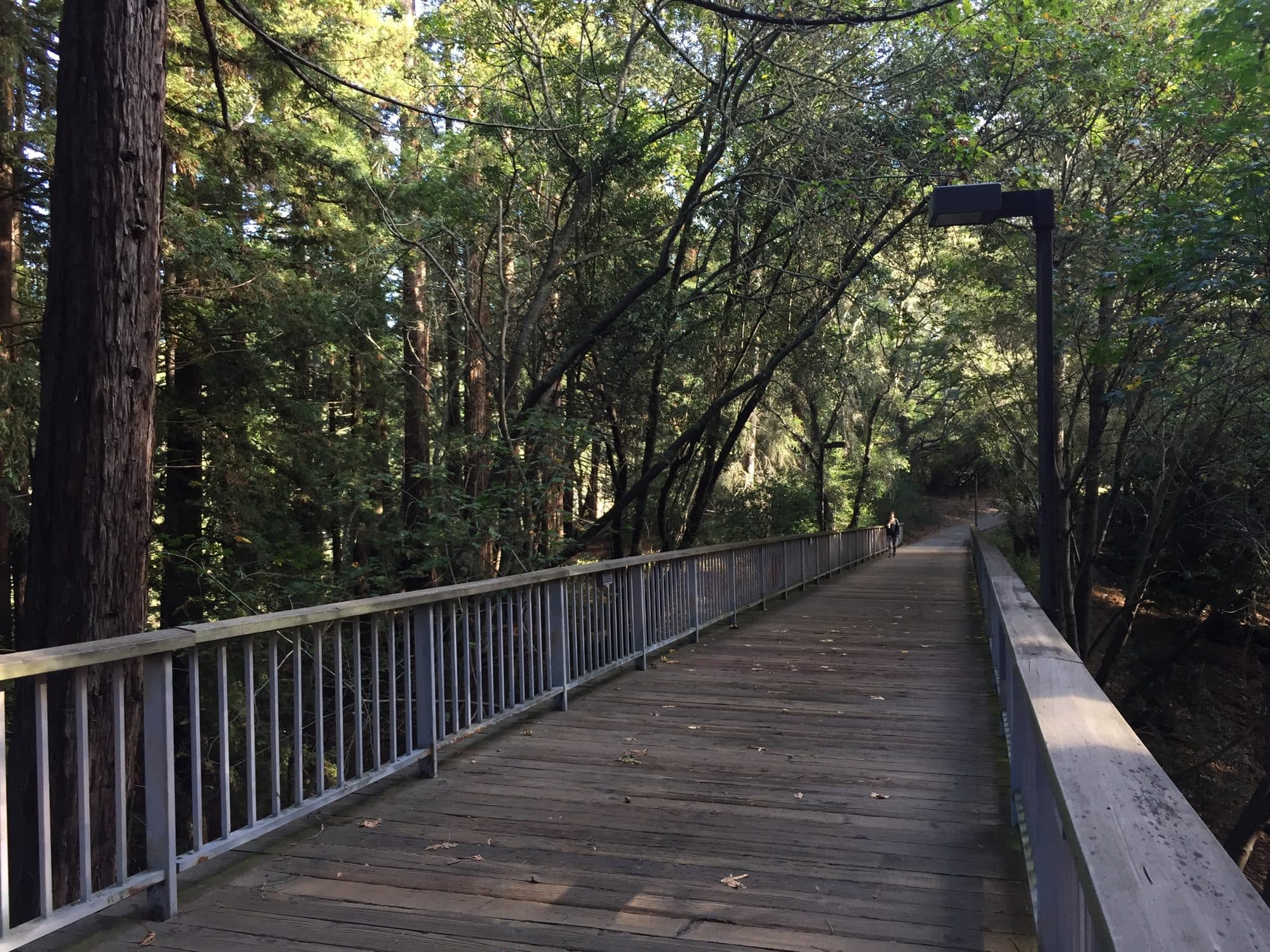 UC Santa Cruz campus